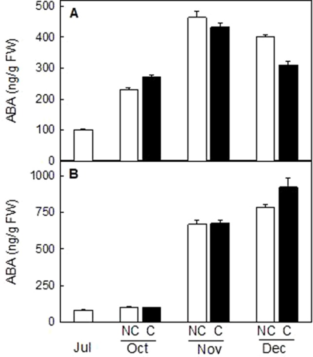 Figure 10