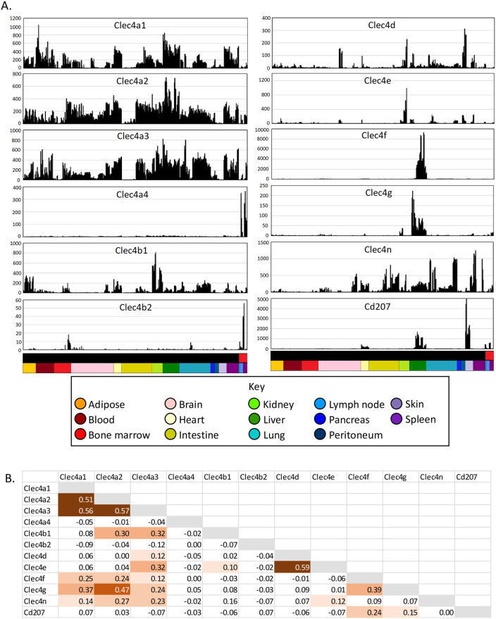 Fig 6