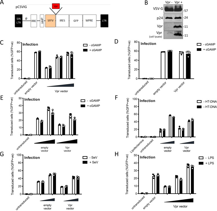 Figure 2—figure supplement 1.