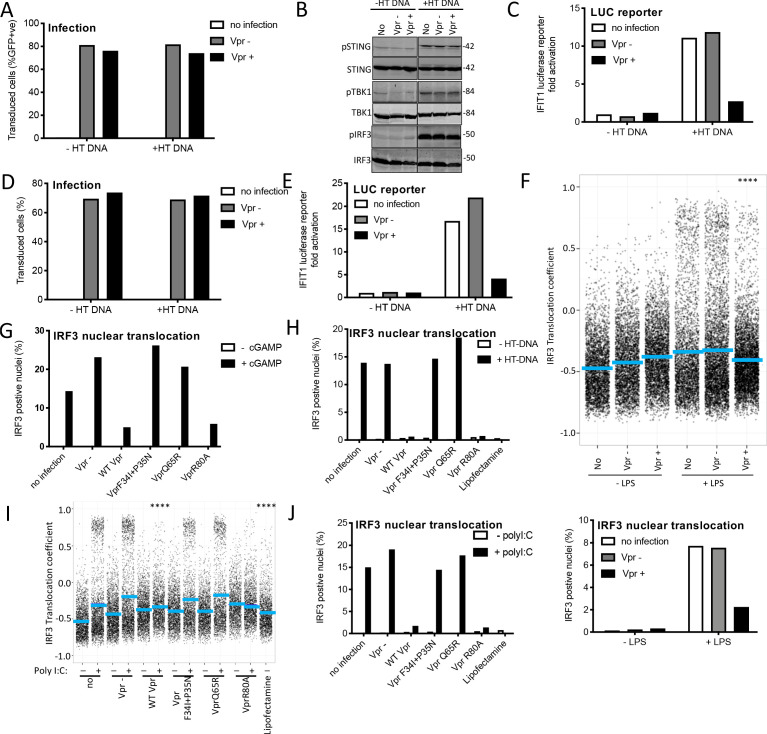 Figure 5—figure supplement 1.