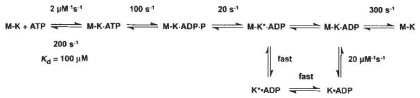 Scheme 2