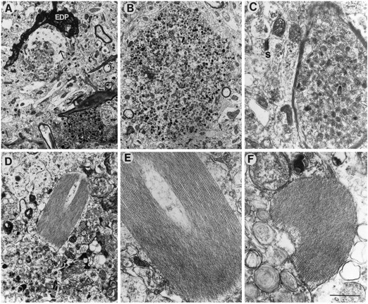 Fig. 9.