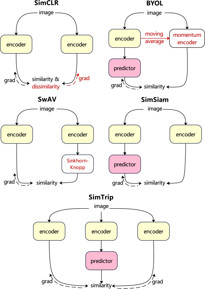 Fig. 7