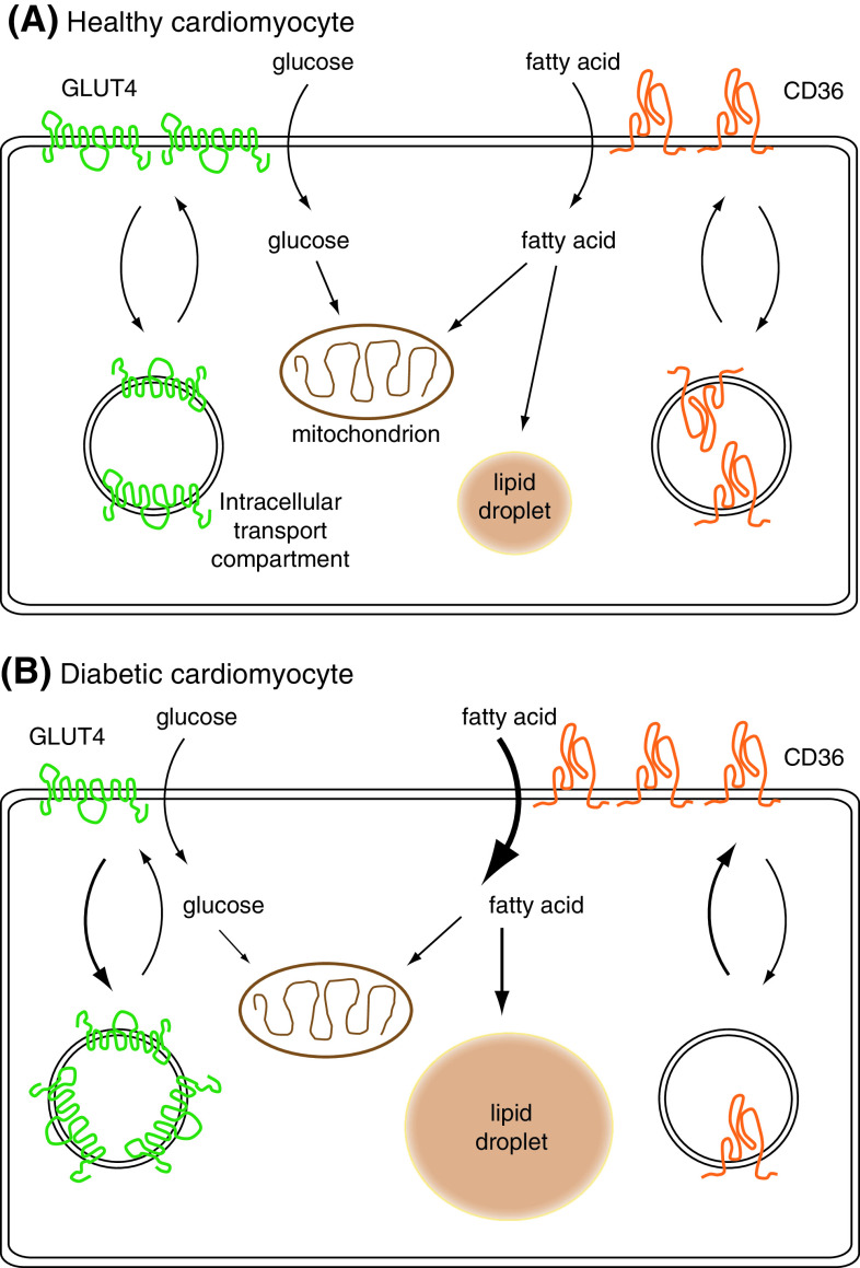 Fig. 2