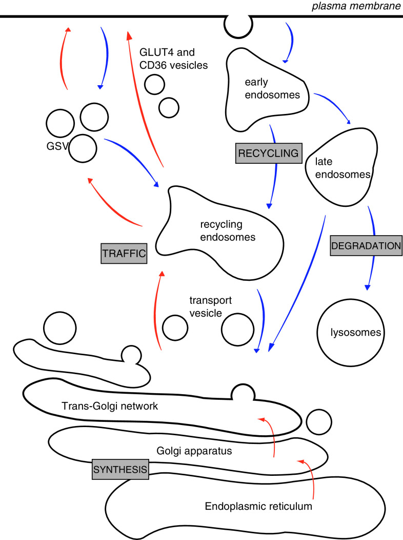 Fig. 1