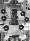 Fig. 2