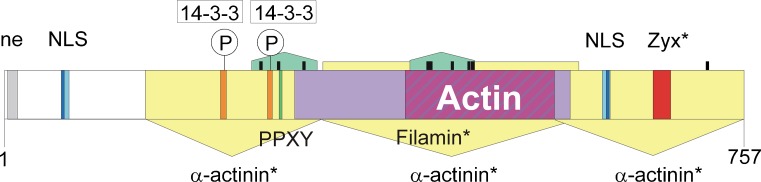 Fig. 2