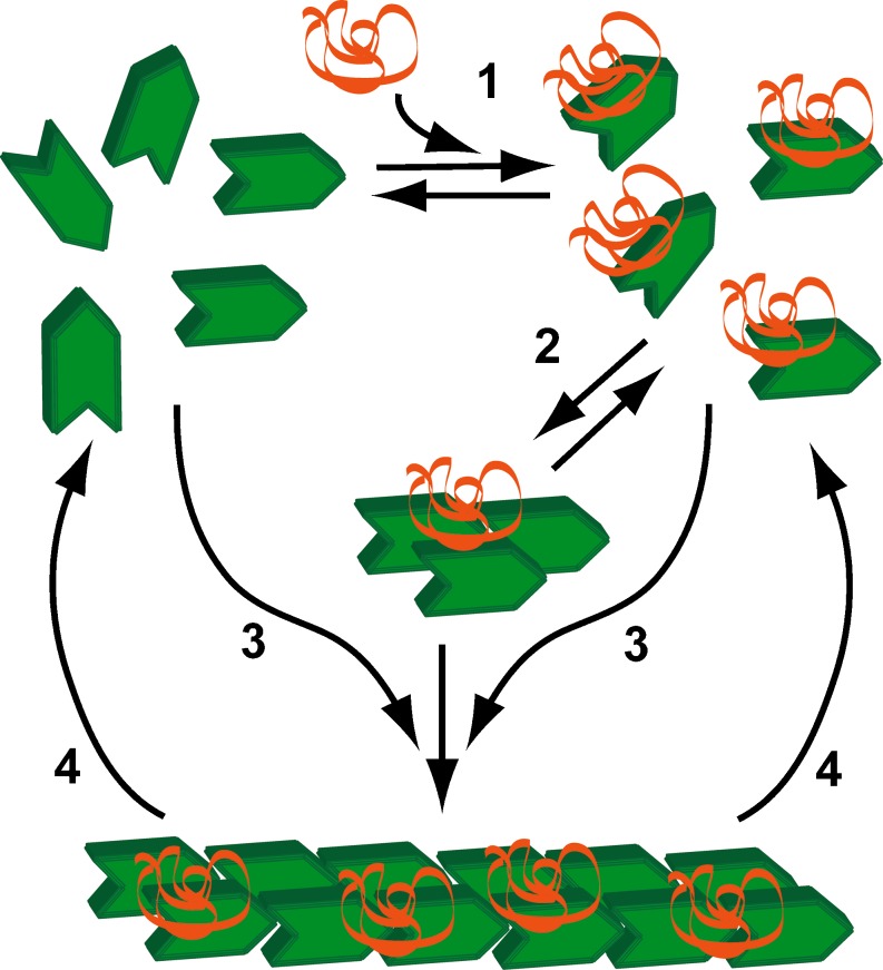 Fig. 3