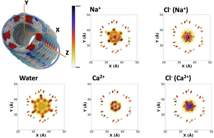 FIGURE 4