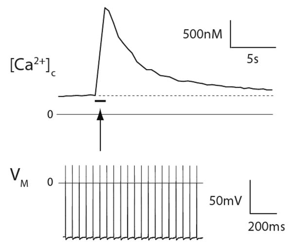 Figure 8