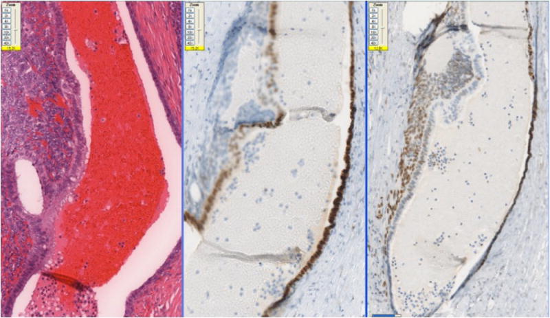 Fig-2B