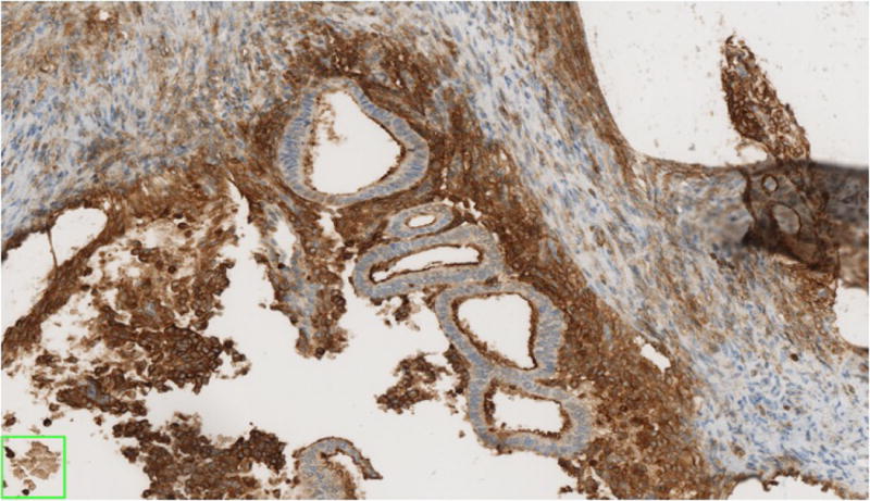 Fig-2C