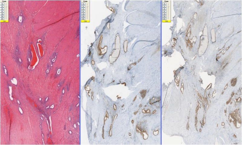 Fig-2A