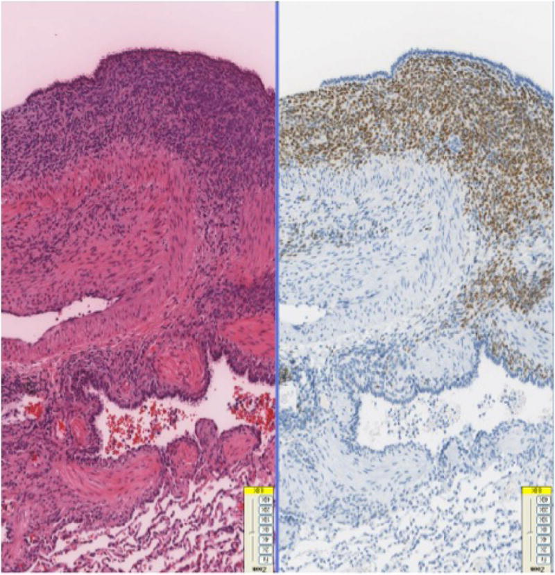 Fig-3A