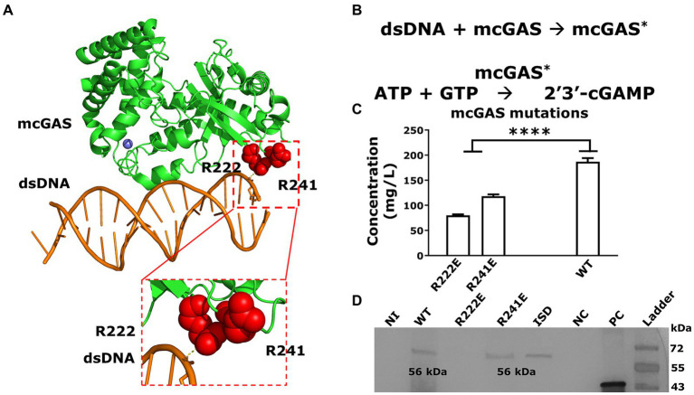 Figure 6