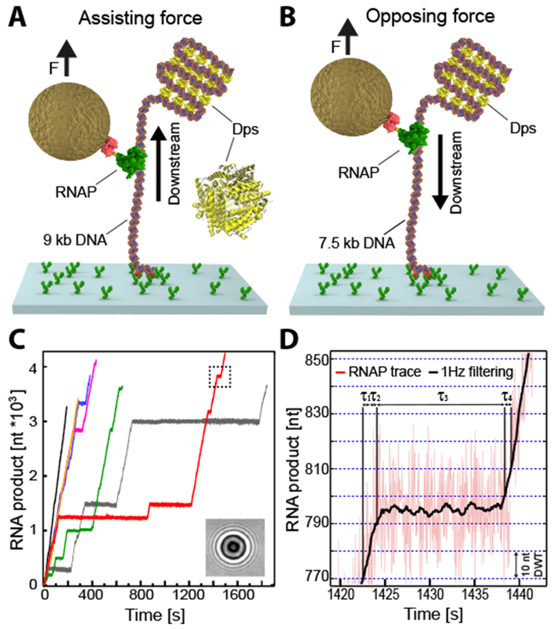 Figure 4.