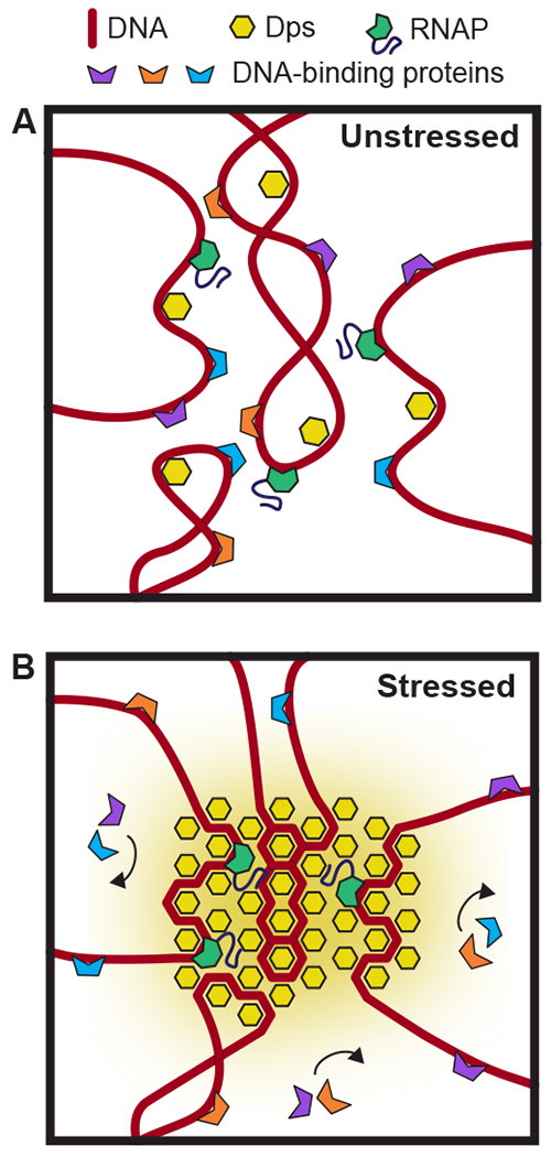 Figure 7.