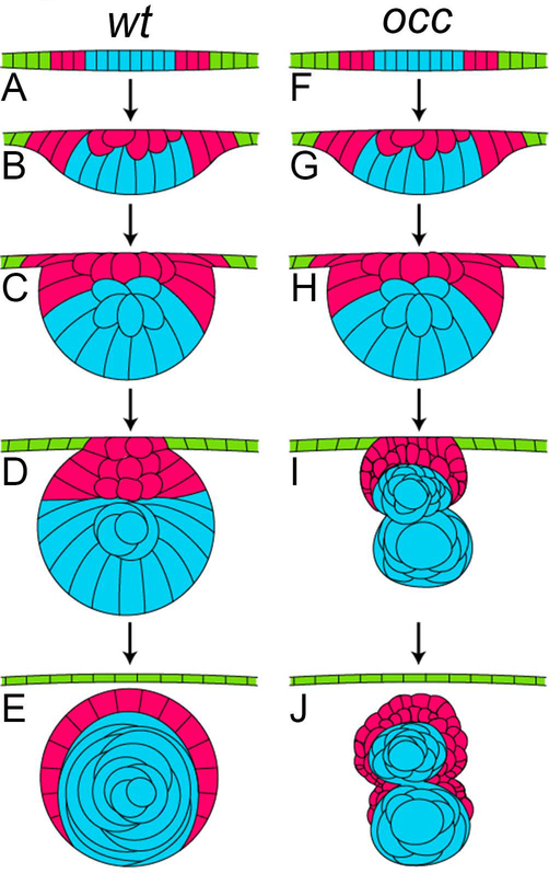 Figure 8.