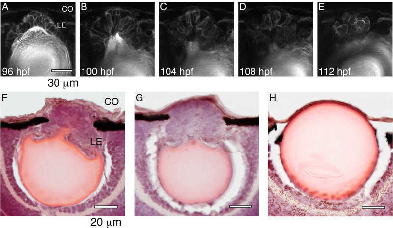 Figure 6.