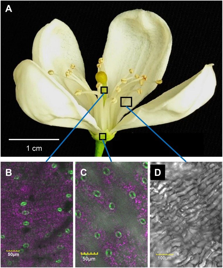 FIGURE 3