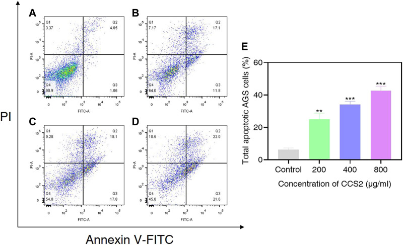 FIGURE 6