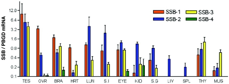 FIG. 1.