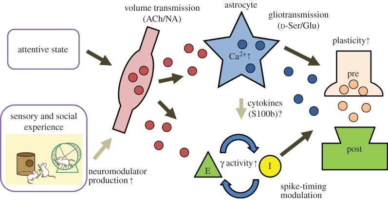 Figure 2.