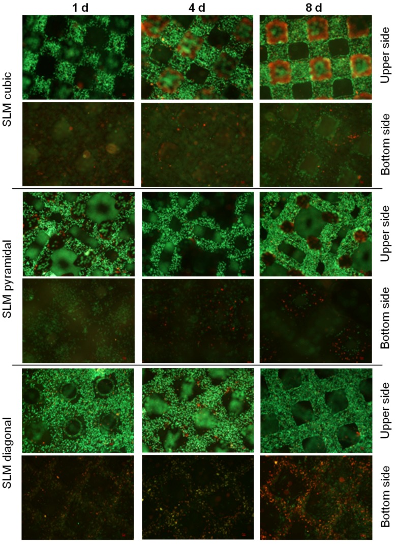 Figure 10