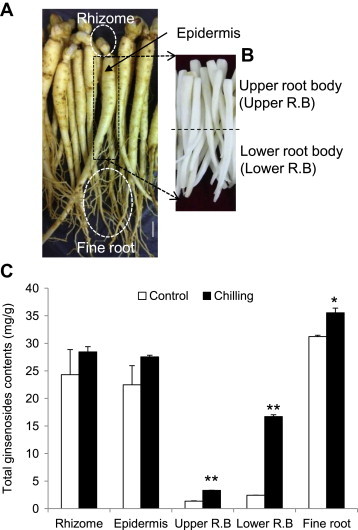 Fig. 4