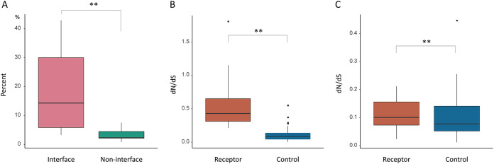 FIG 3