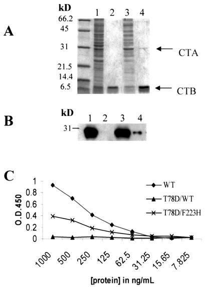 FIG. 6.