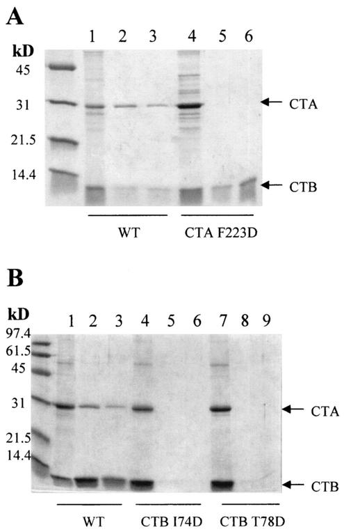 FIG. 9.