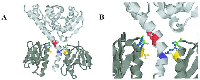 FIG. 1.