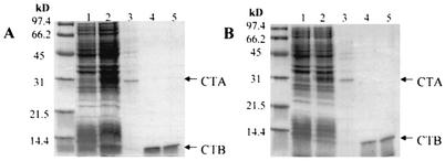 FIG. 5.