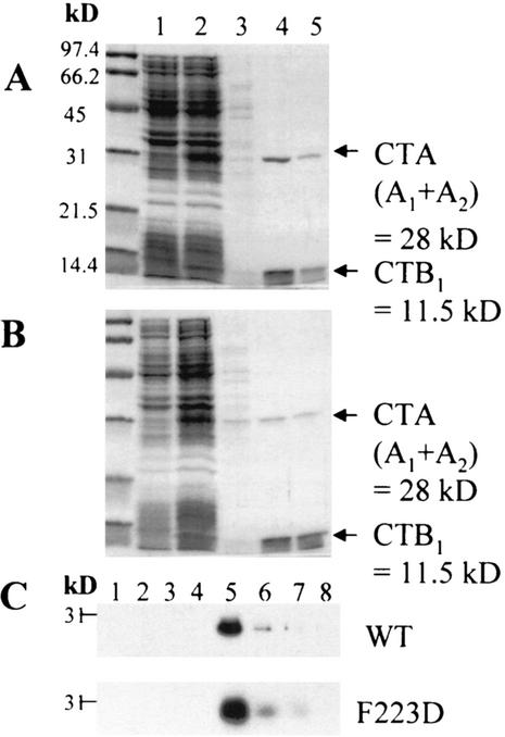 FIG. 2.