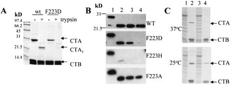 FIG. 4.