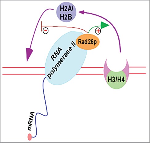 Figure 3.