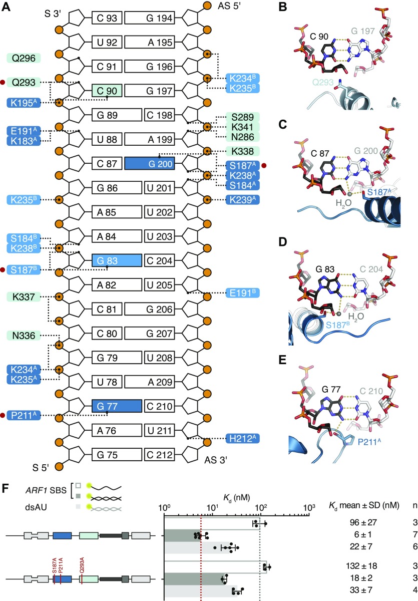 Figure 5.