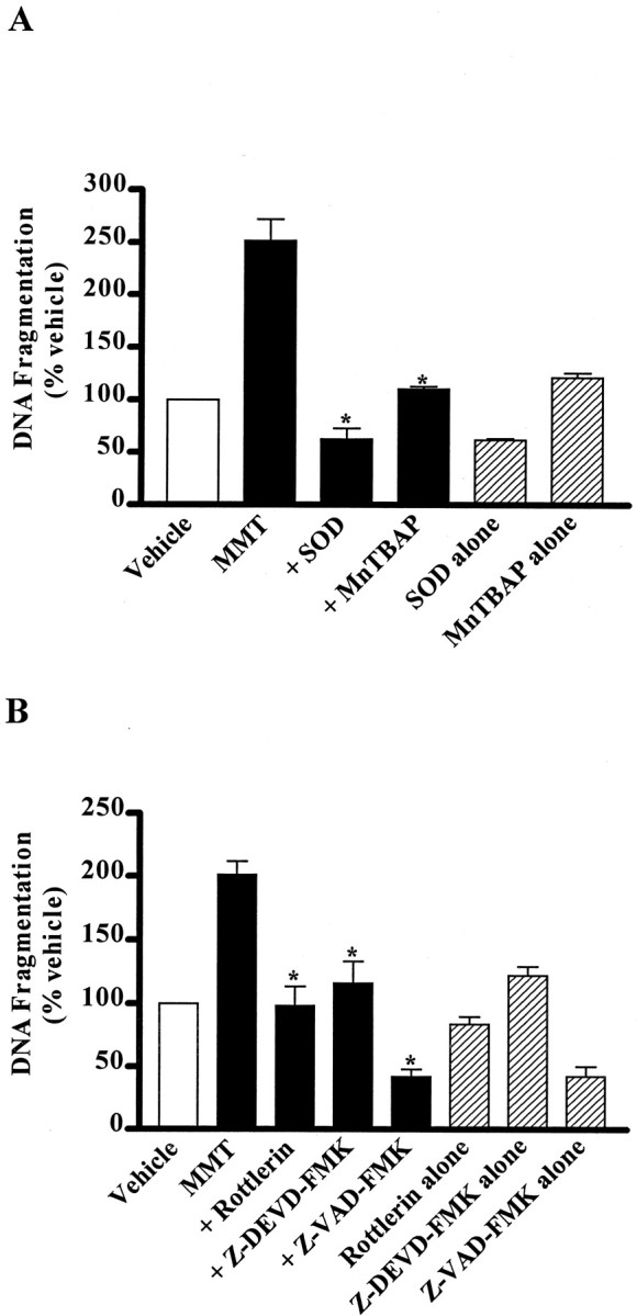 Fig. 11.