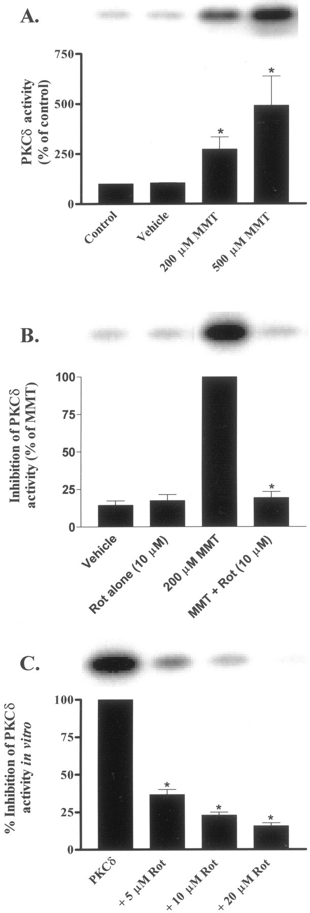 Fig. 9.