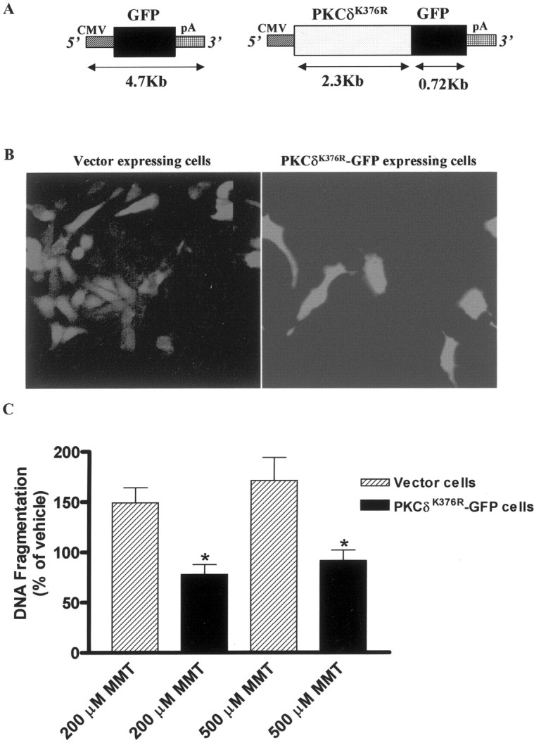 Fig. 12.