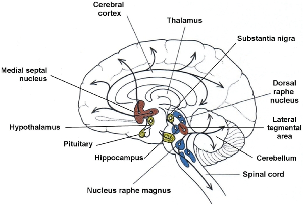 FIGURE 1.