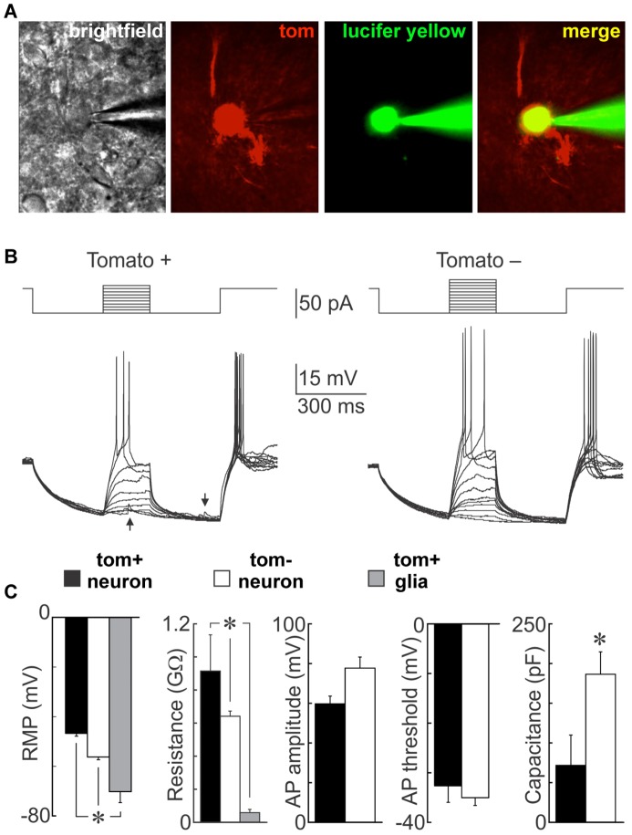 Figure 6