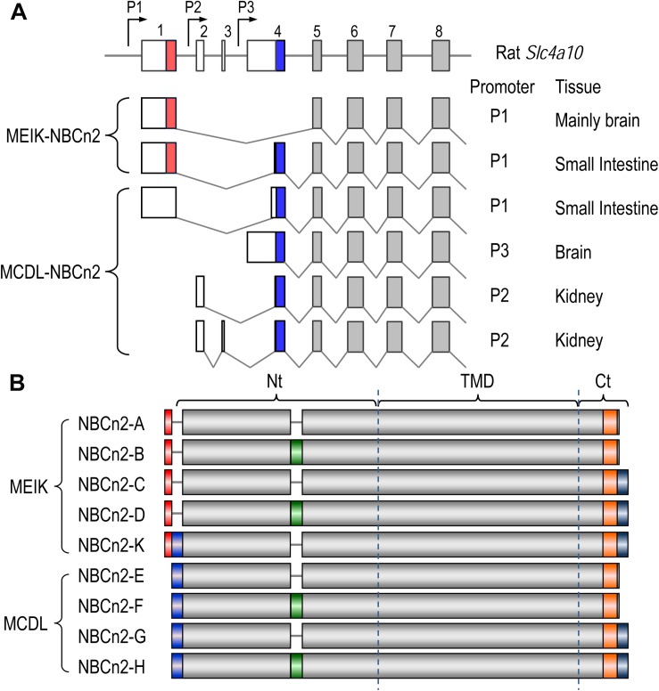 FIGURE 3