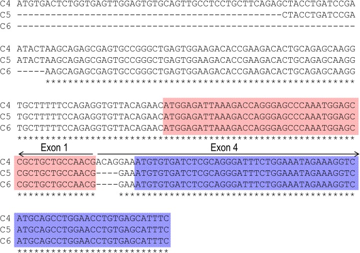 FIGURE 2