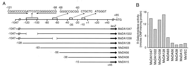 FIG. 6.