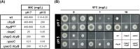 FIG 1