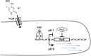 FIG 5
