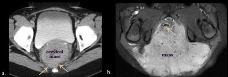 Figure 19.