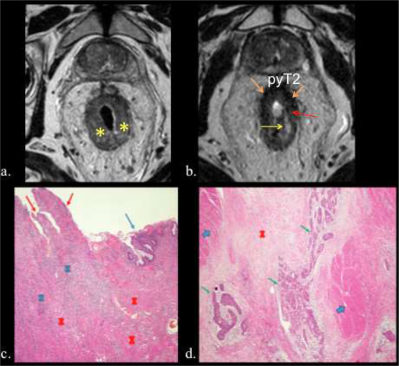 Figure 12.